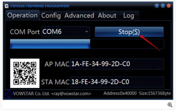 Choose Serial Port of ESP8266, click Flash to burn firmware