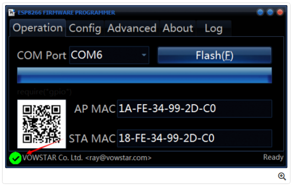 Choose Serial Port of ESP8266, click Flash to burn firmware