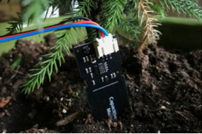 Annoying Soil Moisture Sensor with Photon and IFTTT Project