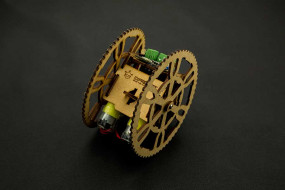 Flamewheel - A 2WD Remote Control Robot