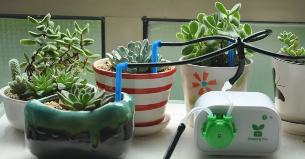 Smart watering system