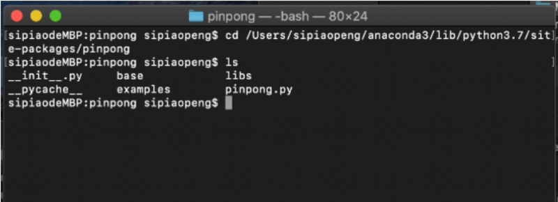 Install PinPong Library on Max OS