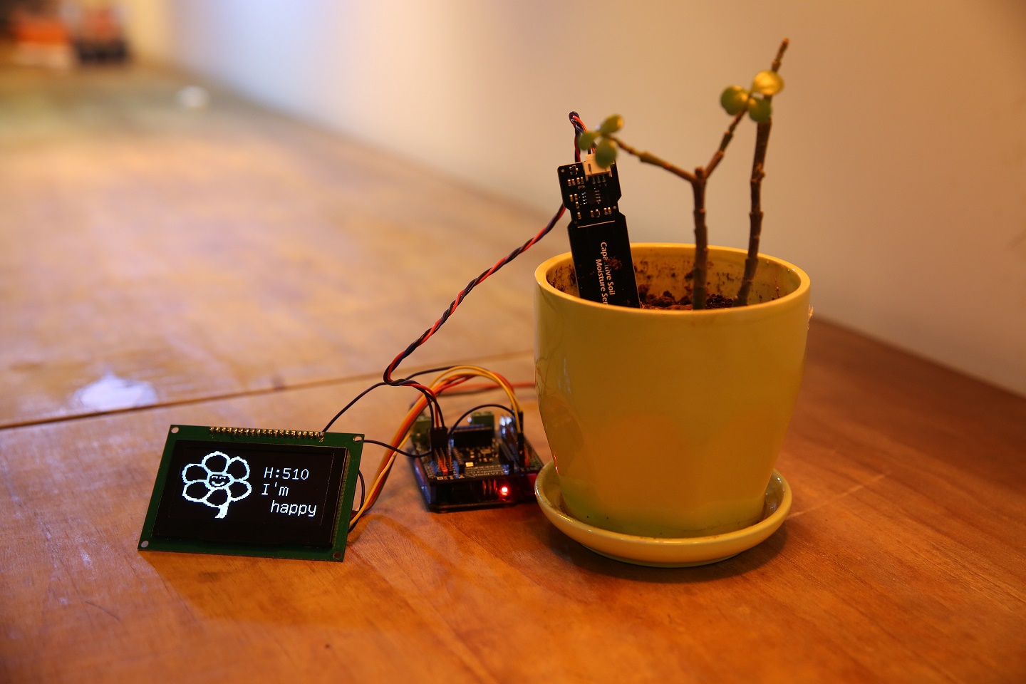 How to Use a Soil Moisture Sensor to Keep Your Plants Alive