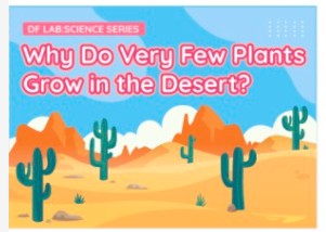 为什么很少有植物生长在沙漠里?